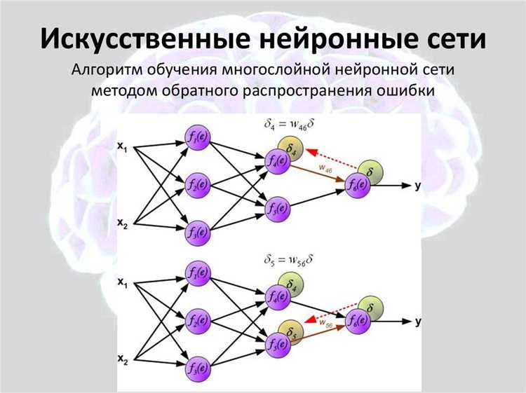 Использование и обучение нейронных сетей